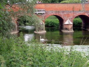 Bridge and swan