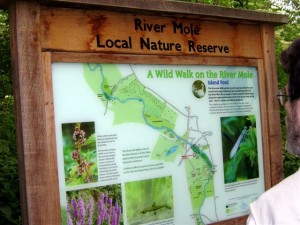 Sign of 'a Wild Walk on the River Mole'